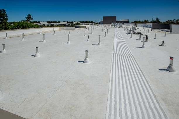 Best Roof Ventilation Installation  in Ridgeway, VA